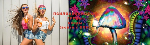 тгк Абинск