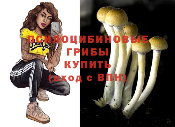 трава Абдулино