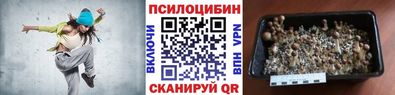 Псилоцибиновые грибы Magic Shrooms  Сорск 